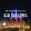2023-03-0031 - 옥천군 | 일본 도쿄여행 디즈니랜드 1월 겨울날씨 방문(+미키열차) & 추천 어트랙션 후기