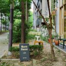 웜하우스 | 김포 카페추천 - 감성카페 웜하우스 내돈내산 후기 ☕️