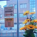 강C점핑 이미지