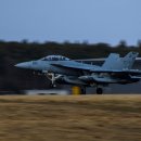 미해군 EA-18G 그라울러가 샌디에이고 만에 추락 이미지