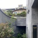 레체빈 | 사피드 서울 (sapid SEOUL) 이태원 프렌치 자연주의 식단 내돈내산 솔직후기