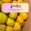 위드랜드 | 위드랜드 안심 스토어 감귤 후기｜서귀포 효돈 제주 감귤, 달고 상콤한 밀감 로얄과 솔직 리뷰