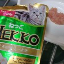 네코스푼 이미지