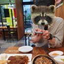 뜨라레2 이미지