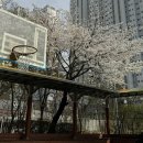 일이삼사