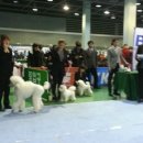 도그앤 제이 이미지