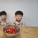 승규농장 Daum카페