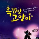 옥탑방 고양이 이미지