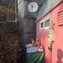 영등포풍년떡집 | [2026.03] 유대모니아적 삶