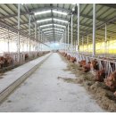 녹색한우 이미지