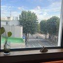 대한노인회수원시팔달구지회부설노인대학 | 수원 데이트 술집 뷰가 너무 이뻤던 안주 맛집 행궁동 호성찬 주차정보