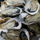 구울래찔래 이미지