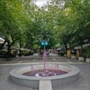 (주)잉카인터넷 | 26.02.15 남미□눀 D+28 산티아고>멘도사 야간버스 국경 넘기 및 공포와 충격의 아르헨티나 물가