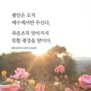 평안 Daum카페