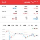 에이치앤비파마인터내셔널 | [마감시황] 2024. 10. 14(월)