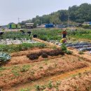 본량농협 이미지