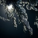 윈터블루(Winter blue) 이미지