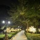 화도진도서관 | 산책하기 좋은곳 화도진공원 오랜만에 가본 후기