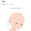 장호덕손만두 세종시청점 이미지