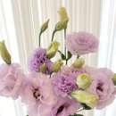 신월동246 이미지