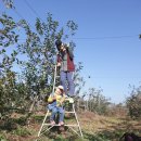 혜림농장 이미지