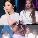 미나월드