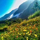 광교미소모아내과의원 이미지