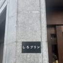 새절역1번출구 | [시로] 새절역카페, 응암역카페, 불광천카페 추천, 푸딩맛집 직접 다녀온 후기!