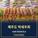 제주도 횟집 딱새우회 가성비 좋은 애월 바다뷰가문동포구횟집 후기