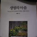 [박경리작가독서챌린지 김파우그생2기] ＜생명의 아픔＞ 이미지
