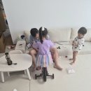 소령진수환 이미지