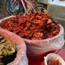 곽가네 게장 | 망원시장 곽가네 기깔난 게장 망원점 양념게장 맛집