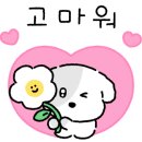 그레이스투어 이미지