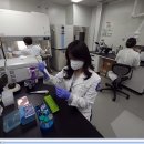 구로-구로-구로-1633 이미지