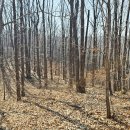 형국농장 | 거창 칡목재-시루봉-호음산-부종산-수승대 산행기록