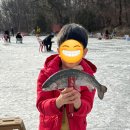 양주 칠봉산 낚시터 무지개 송어 얼음낚시 가격, 방갈로 후기