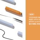 컬러링크 네이버블로그