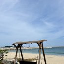 카페 말리 | 울진 죽변 오션뷰 감성 카페 ‘르카페말리’ 후기