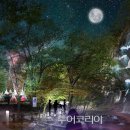 강천산 캠핑 이미지