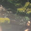 풍년건어물 이미지