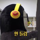 유타로천호 이미지