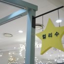 컬리수뉴코아
