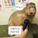 미류 이미지