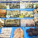 장미수산 이미지