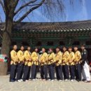 경희대 박사 태권도 이미지