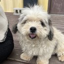 다솔농장 이미지