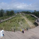 평창송어회 - 충주시 염밭로 86 | 평창송어회