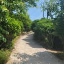 여수농장 이미지