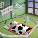 2024 연말결산