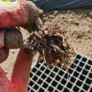 서리내농장 이미지